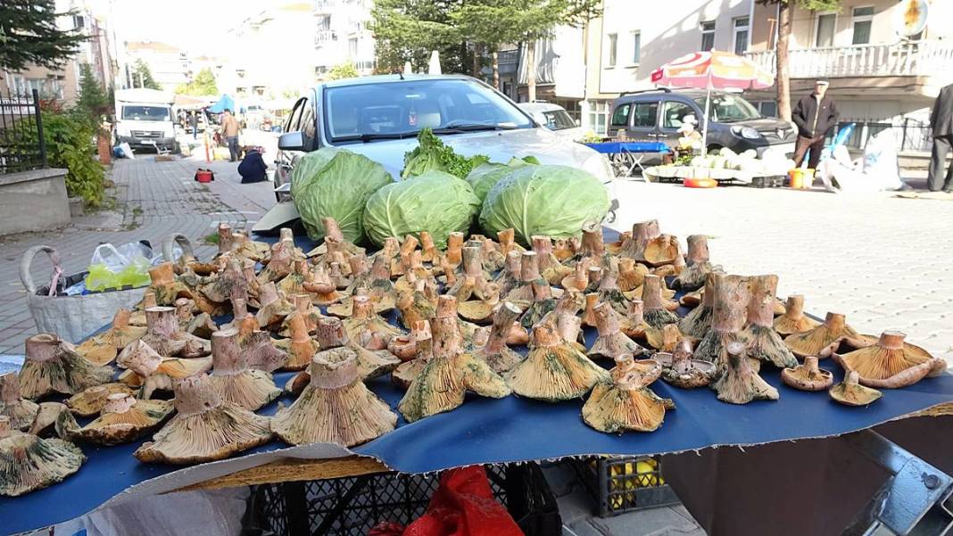 Dağlardan bereket fışkırdı, köylünün yüzü güldü! Kilosu 100 TL'ye kadar düştü 27